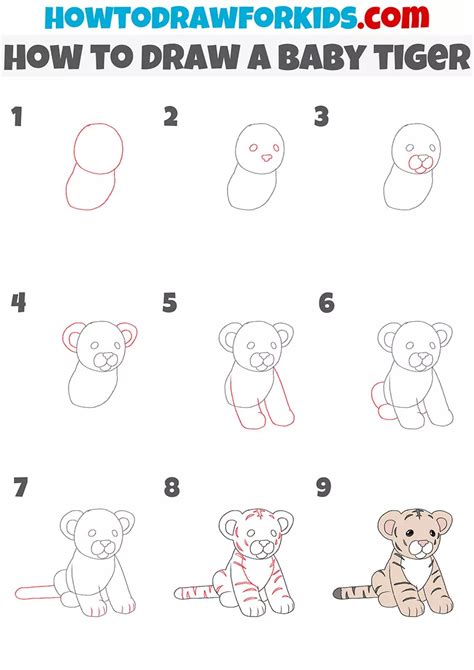 how to draw a tiger step by step|How To Draw a Tiger Step By Step in pictures .